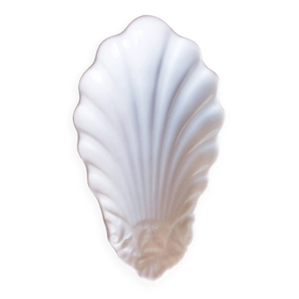 Shell shape dish