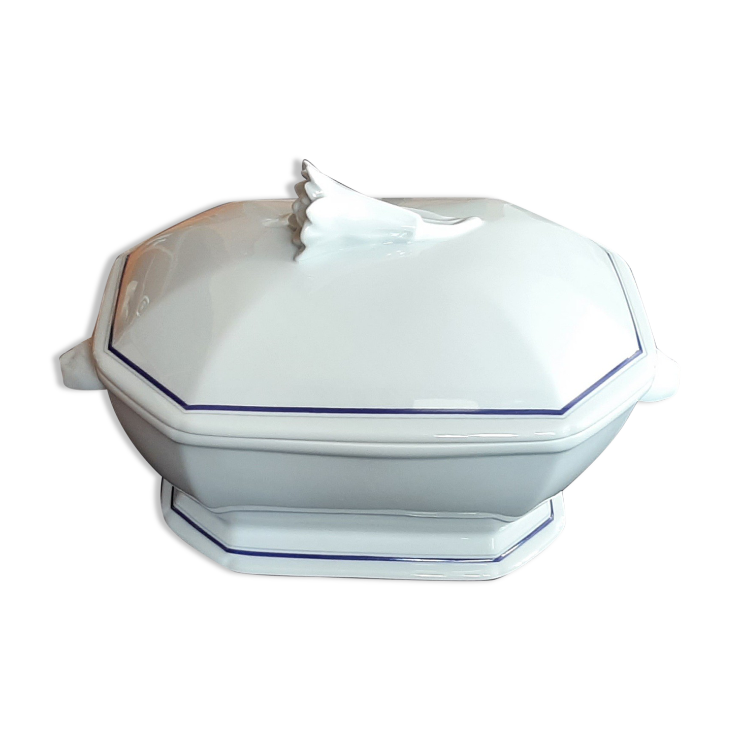 Soup limoges coquet lotus mediterranean