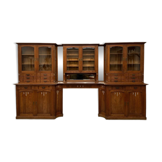 Huge Apothecary Cabinet Early 20th Century