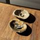 Dark beige oval petrified wood bowl 25x19 - 3782