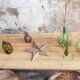 Table de ferme vintage