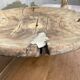 Plat touareg en bois XL