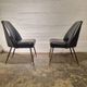 Campanula chairs 1950s – Carlo Pagani Arflex | Mid-century modern design furniture