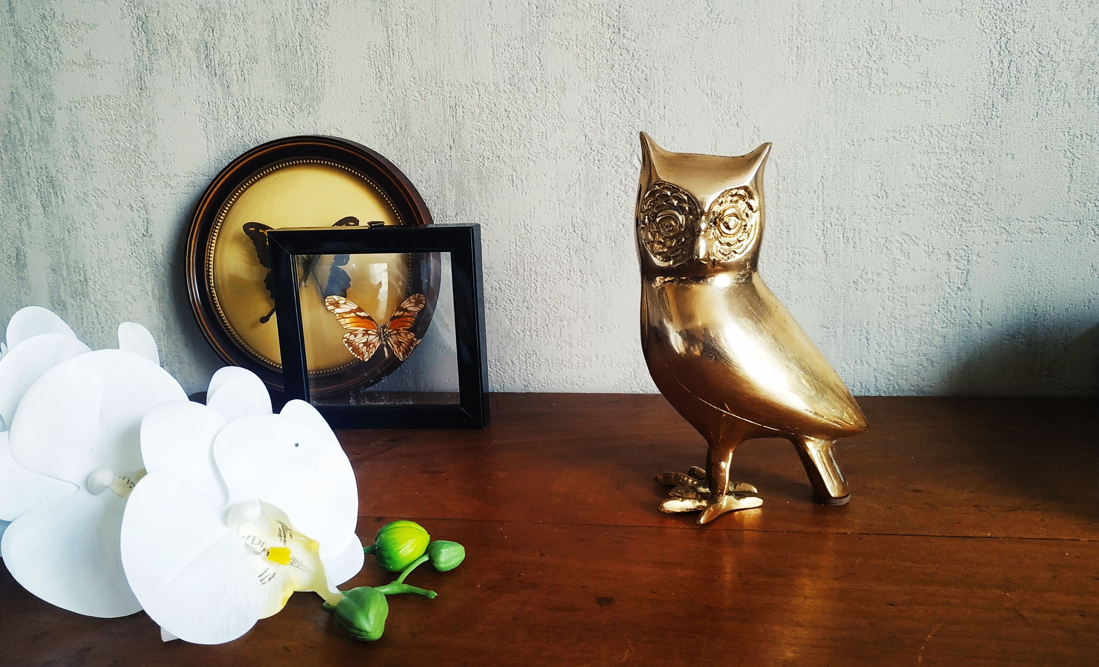 Brass owl