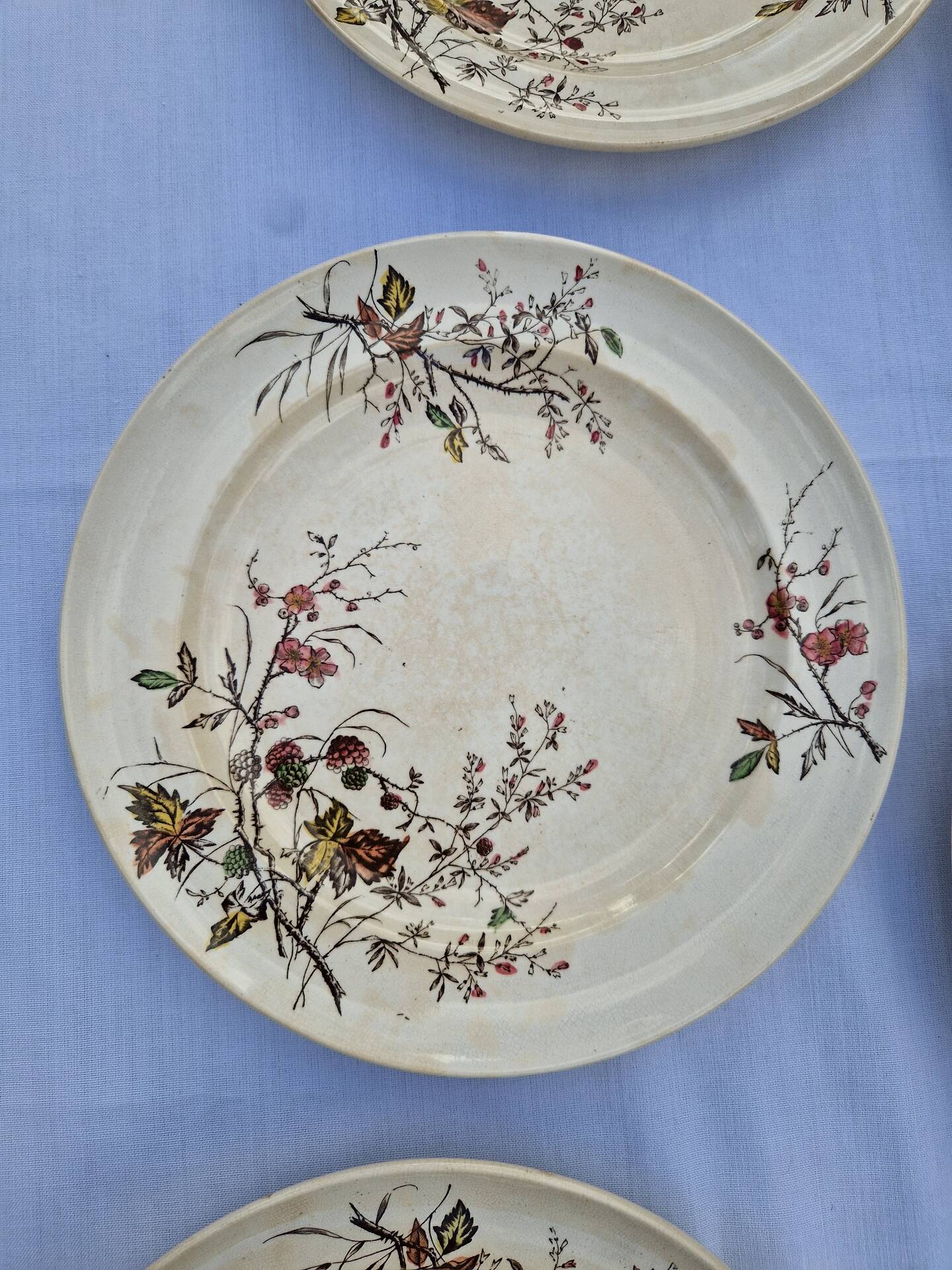 Set of 12 Terre De Fer Plates Manufacture Moore & Co Model Como
