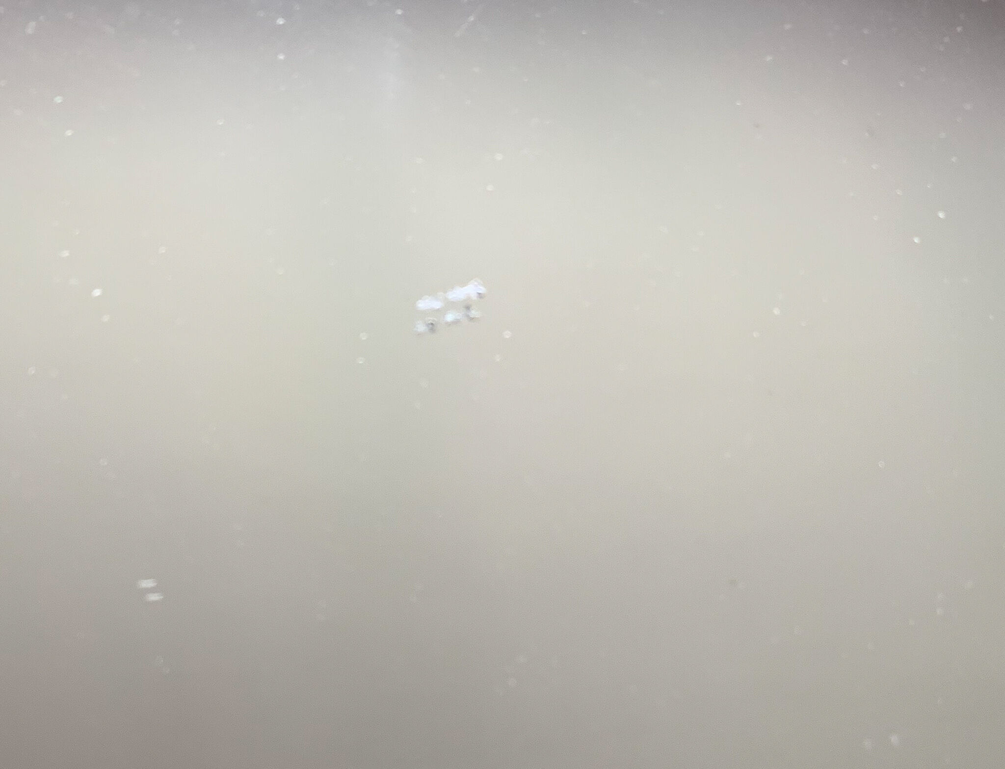 Mirror Old 63 x 43 cm