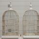 Double cage with birds in wooden metal white rectangular bell tower 1910