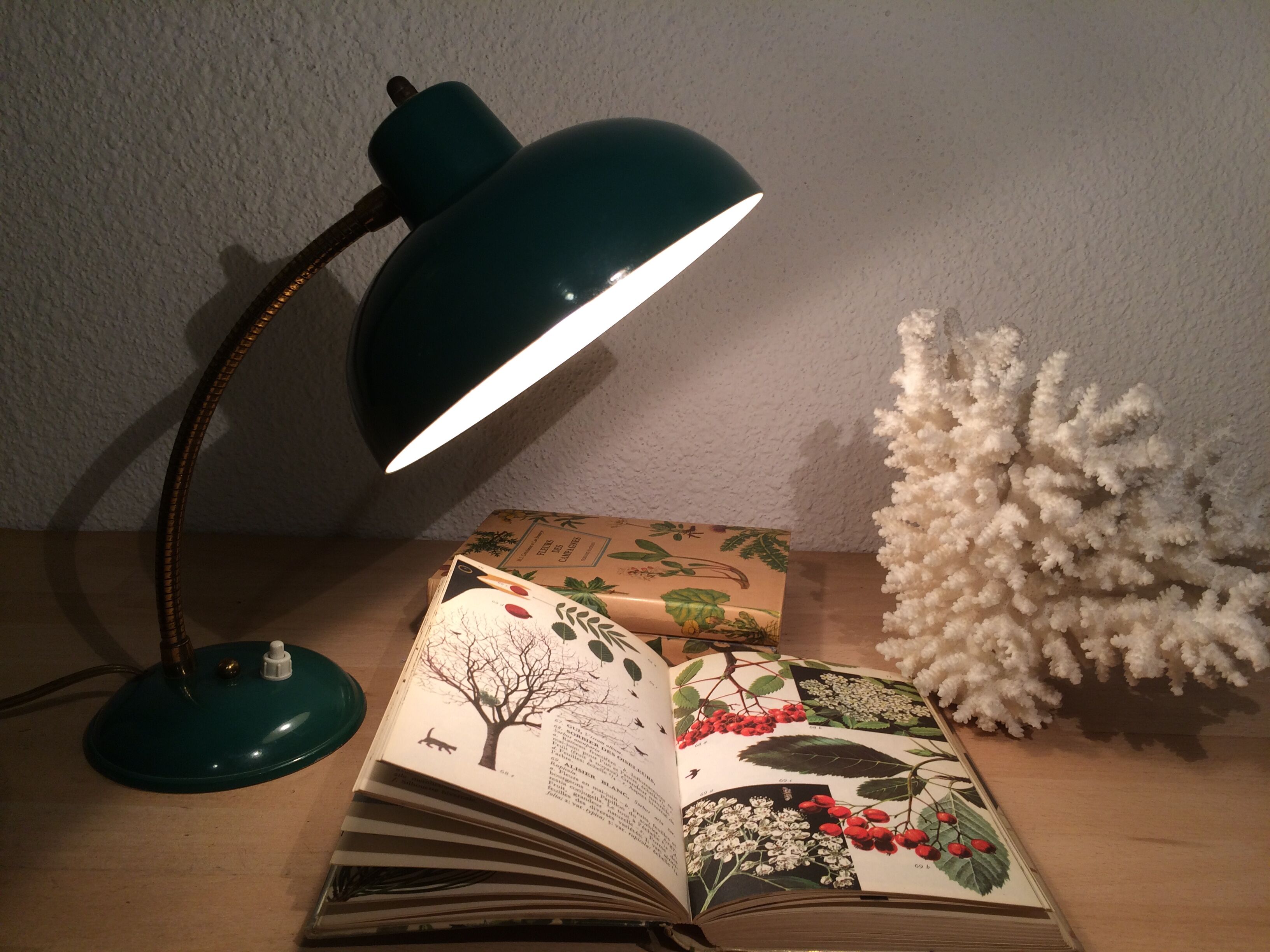 Green flexible desk lamp, 50s,vintage metal