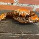 Vintage Polychrome Ceramic Lobster from VALLAURIS, France #D856