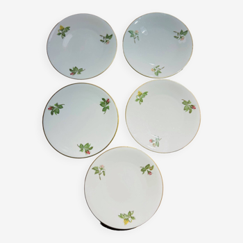 10 plates decorated with Haviland roses