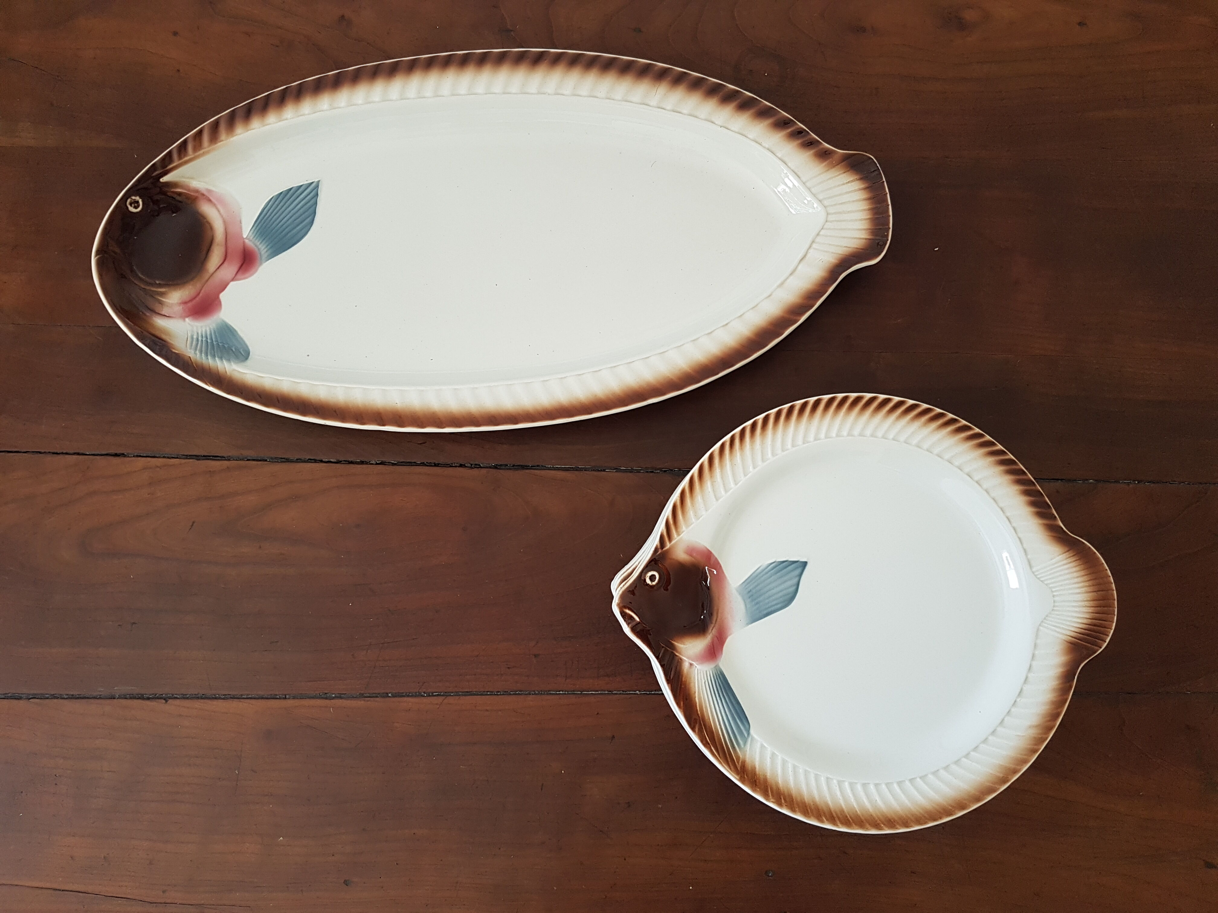 Plates and fish dish