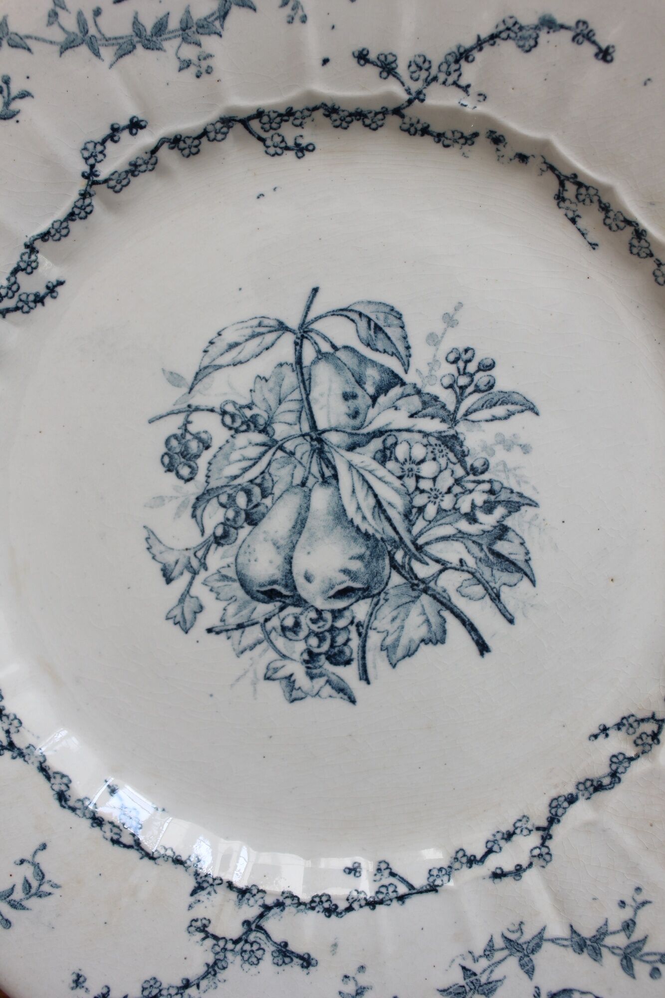 6 flat plates in iron earth Pompadour earthenware factory of Clairefontaine