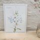 Lys white botanical board