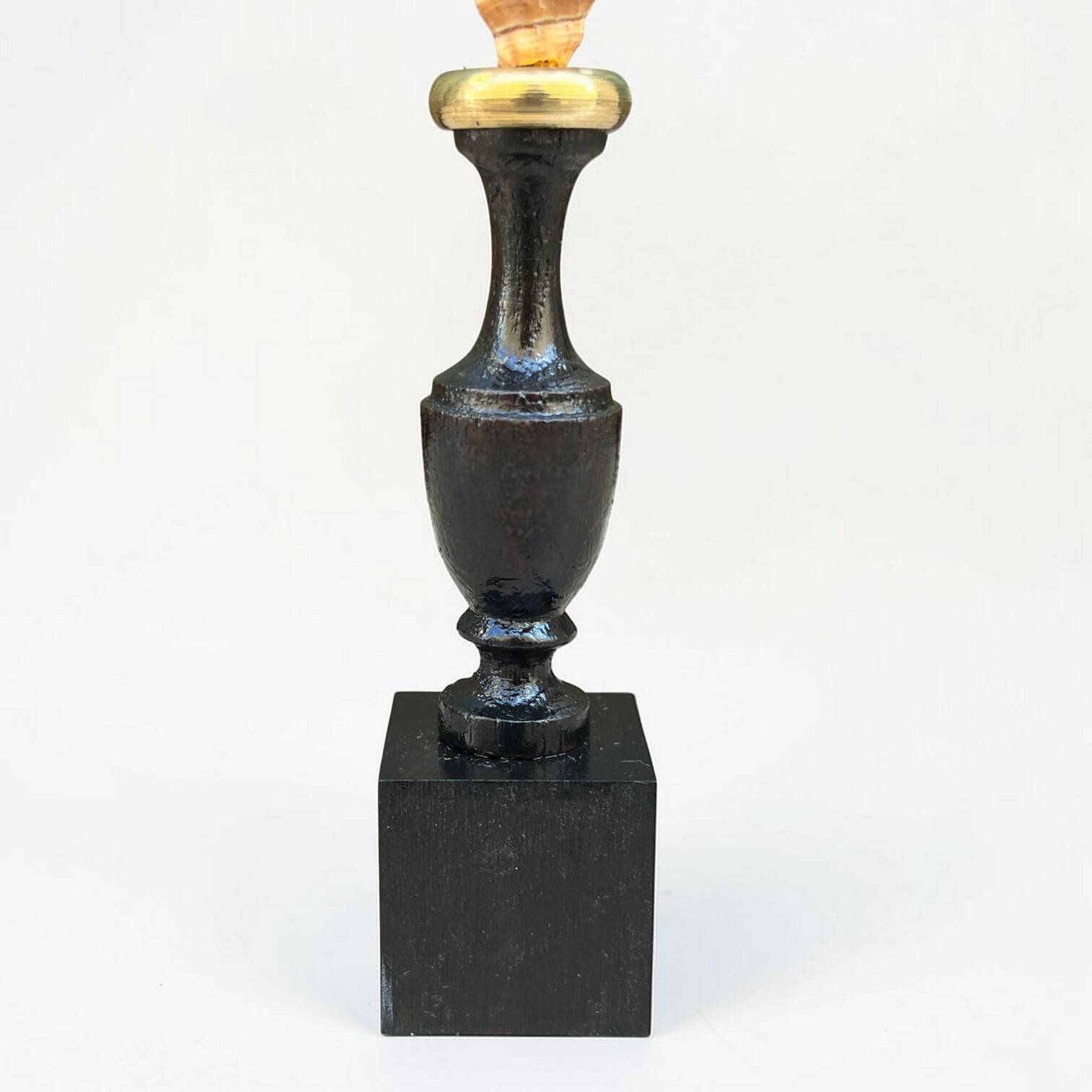Sea snail shell Fasciolaria Trapezium on a turned wooden base