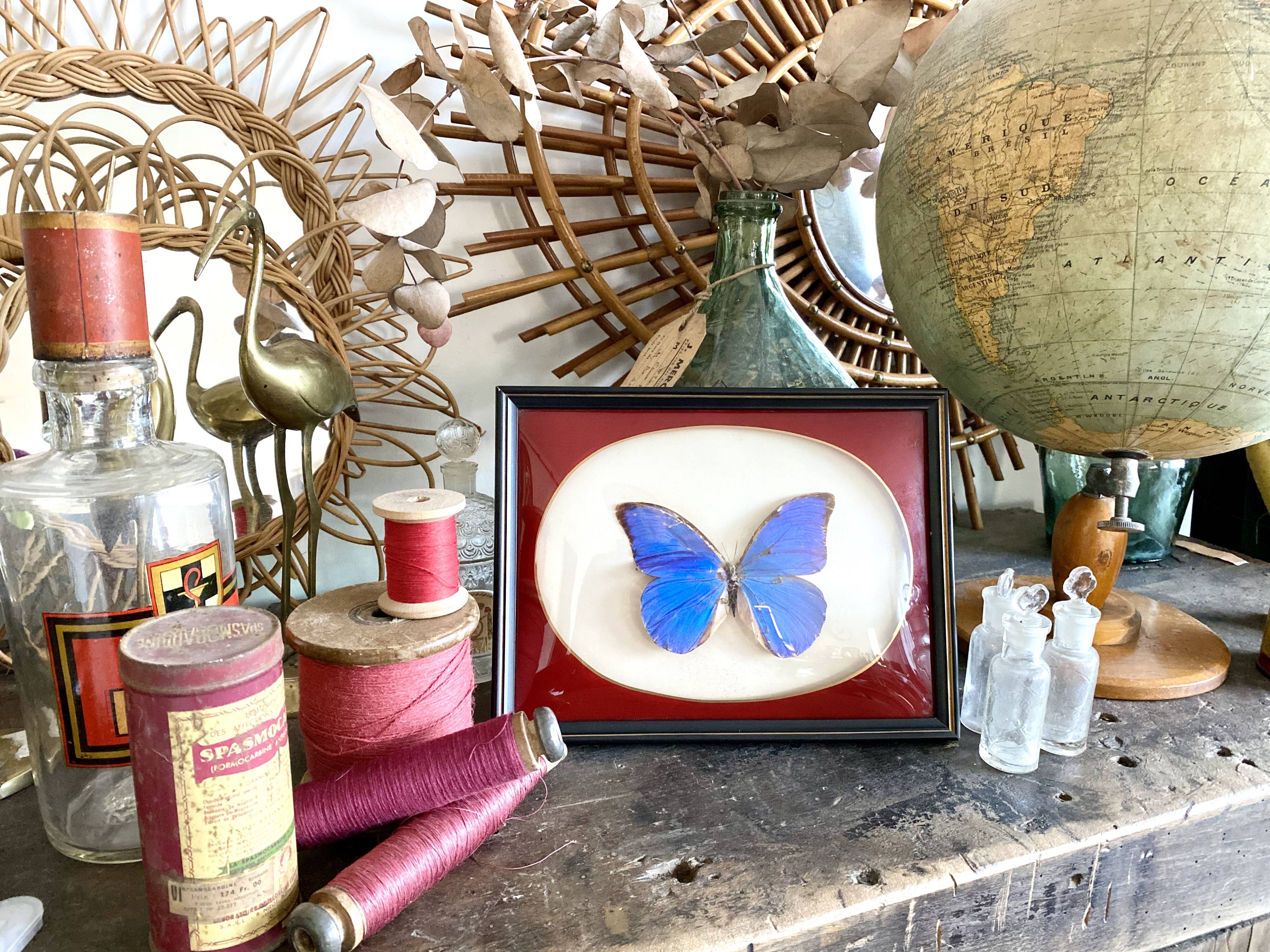 Naturalized butterfly frame