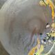 Vintage Murano glass empty pocket signed