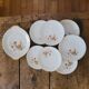Dessert Plates & Serving Platter Royal Porcelain Vierzon Enamel