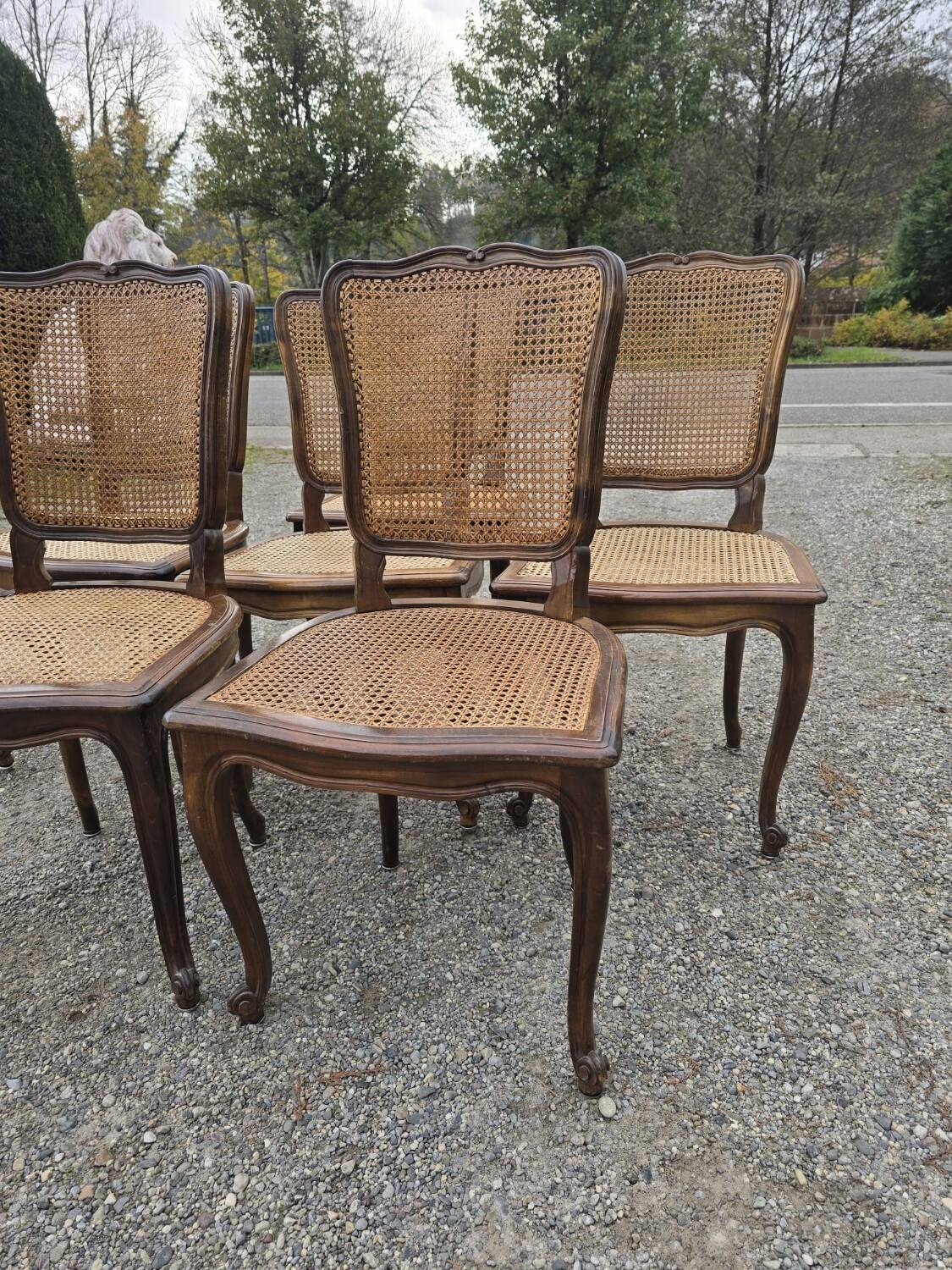Set of 6 Louis XV chairs in wood and cane
