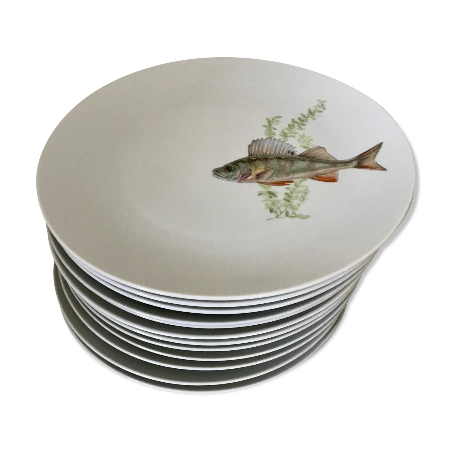 12 assiettes en porcelaine