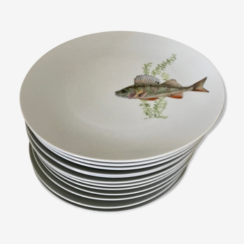 12 assiettes en porcelaine