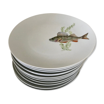 12 porcelain plates