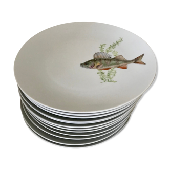 12 assiettes en porcelaine