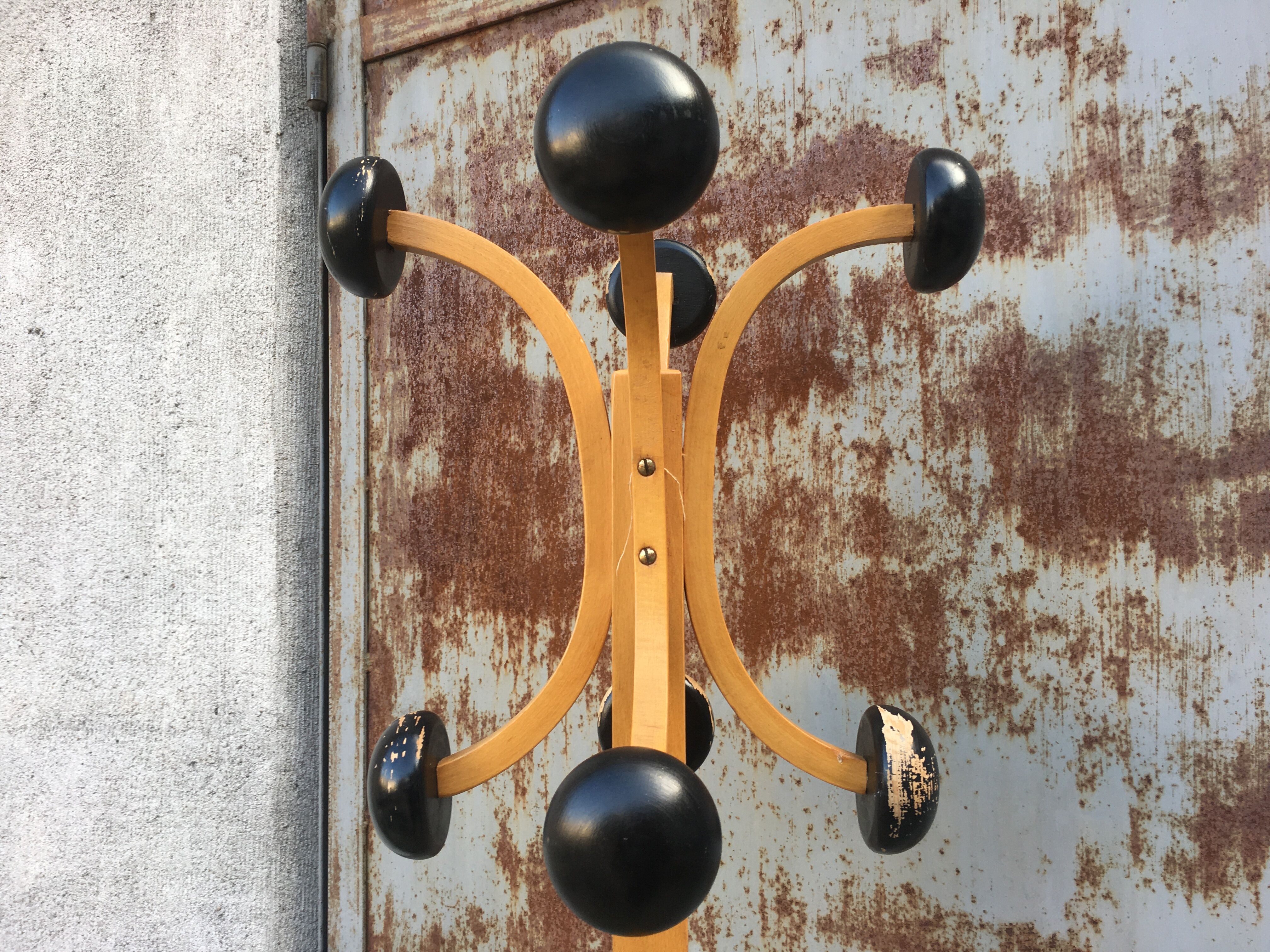 Stella coatrack
