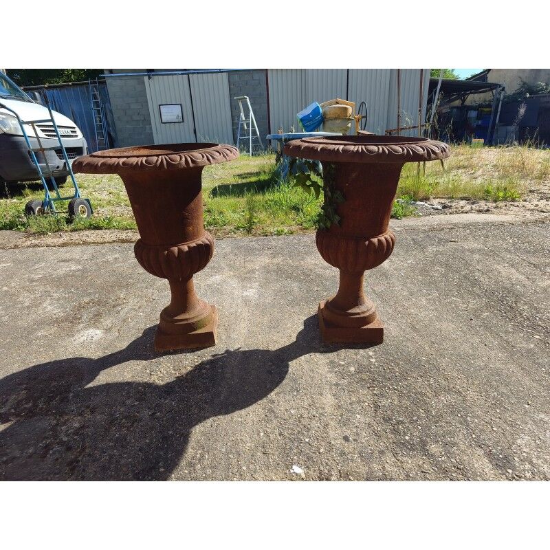 Pair of 19th-century cast iron Medici vases
