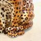 Handmade Italian ceramic leopard sculpture