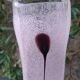 Vase Kosta Boda