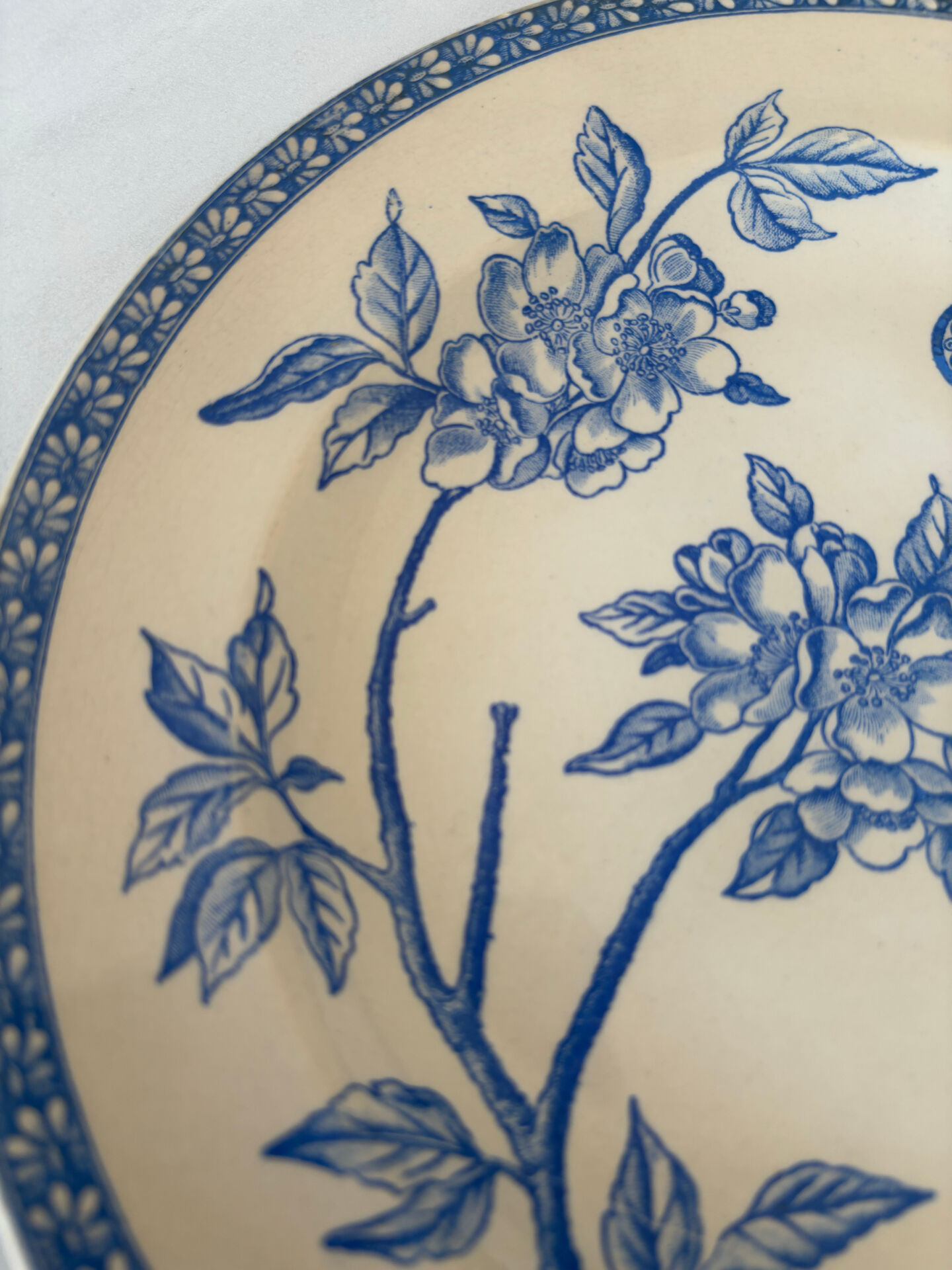 Old flat plate, light blue ironstone, daisy pattern | Fa