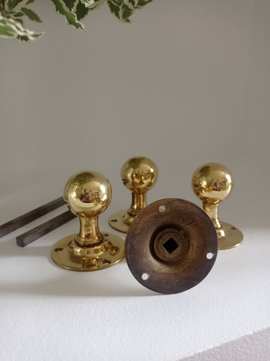 Round brass door handles