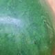 Green varnished stoneware pitcher