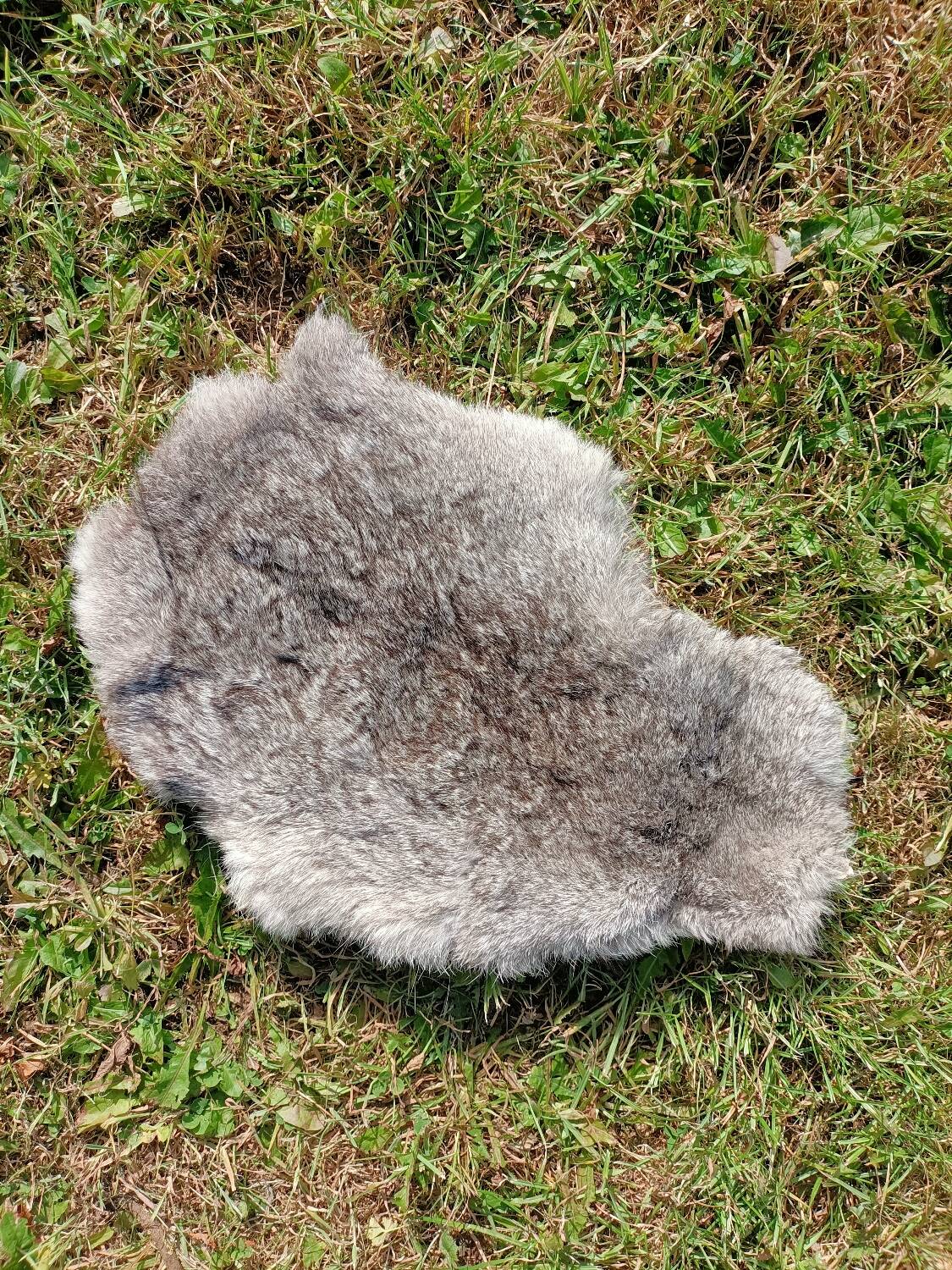 Rabbit skin