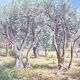Olive tree field painting