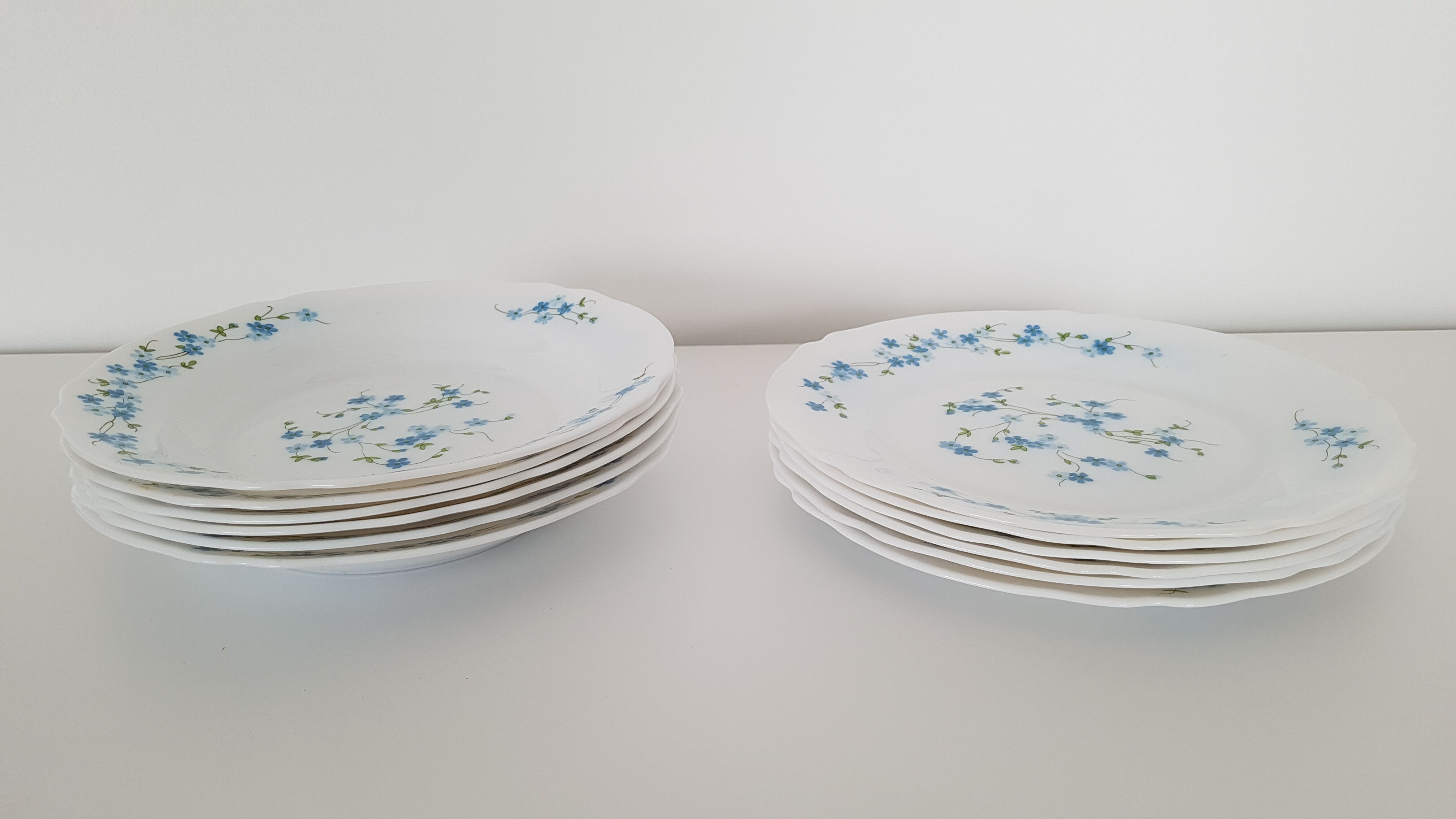 Full service 24 pieces Arcopal Myosotis Veronica