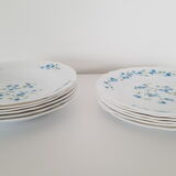 Full service 24 pieces Arcopal Myosotis Veronica