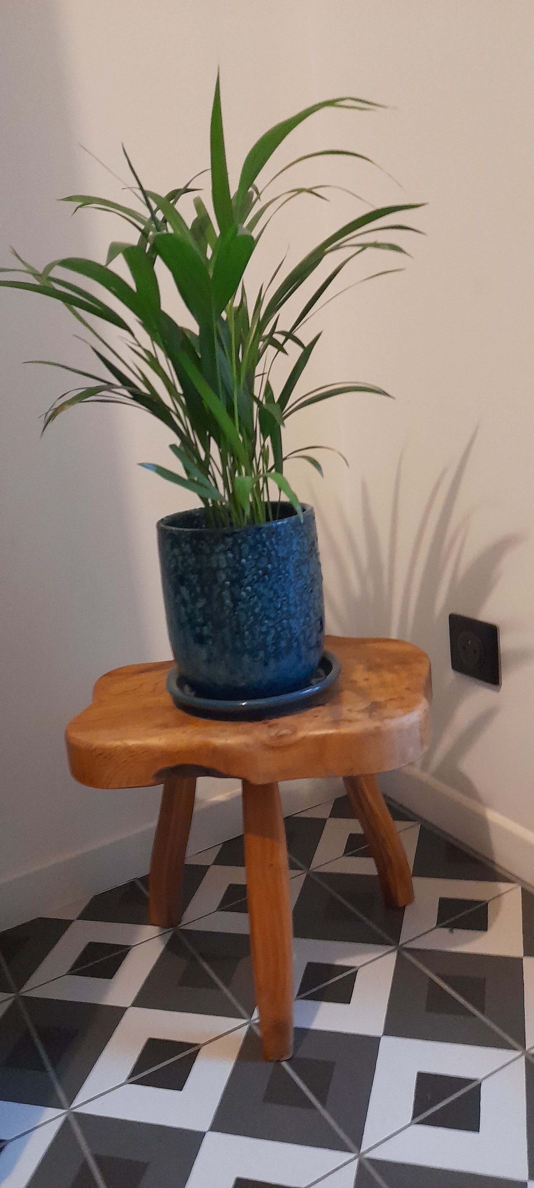 Brutalist tripod stool in solid elm