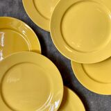 12 yellow earthenware dinner plates