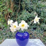 Intense blue ceramic vase