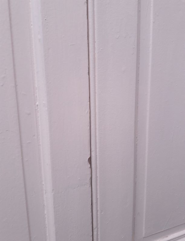 Pair of doors of antique closet