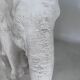 Large plaster elephant sculpture