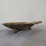 Empty pocket st Jacques shell