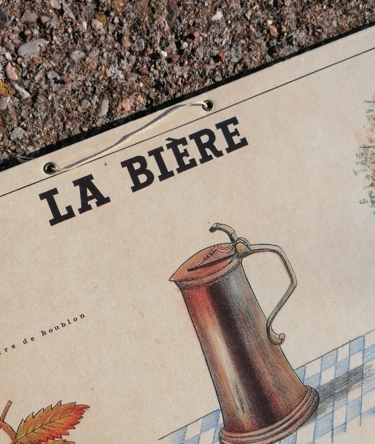 Educational poster La Bière - Musée scolaire Les fils d'Émile Deyrolle