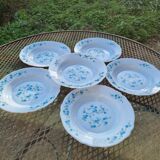 6 vintage hollow plate arcopal model veronica decor myosotis