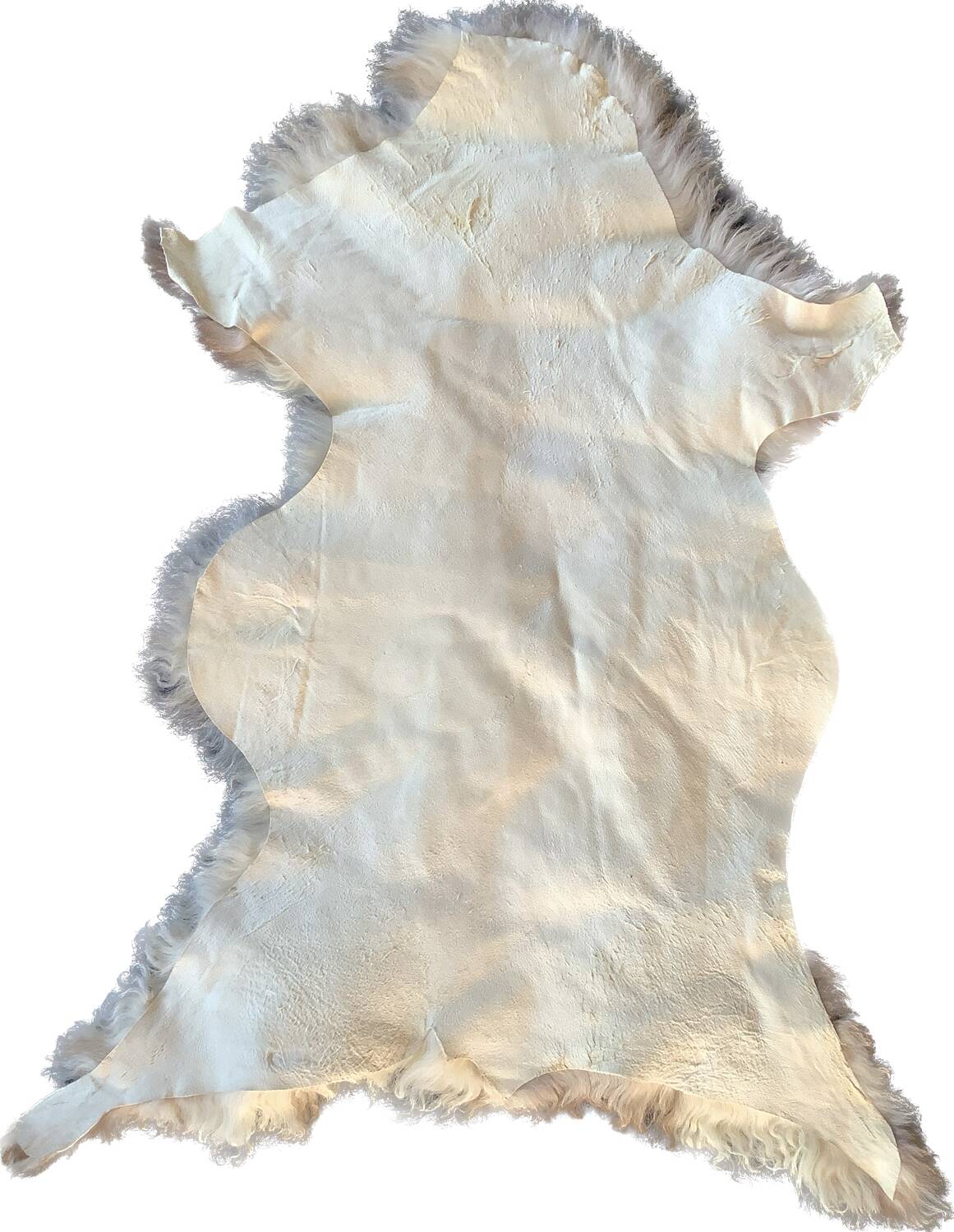 Peau Agneau du Béarn Neuve