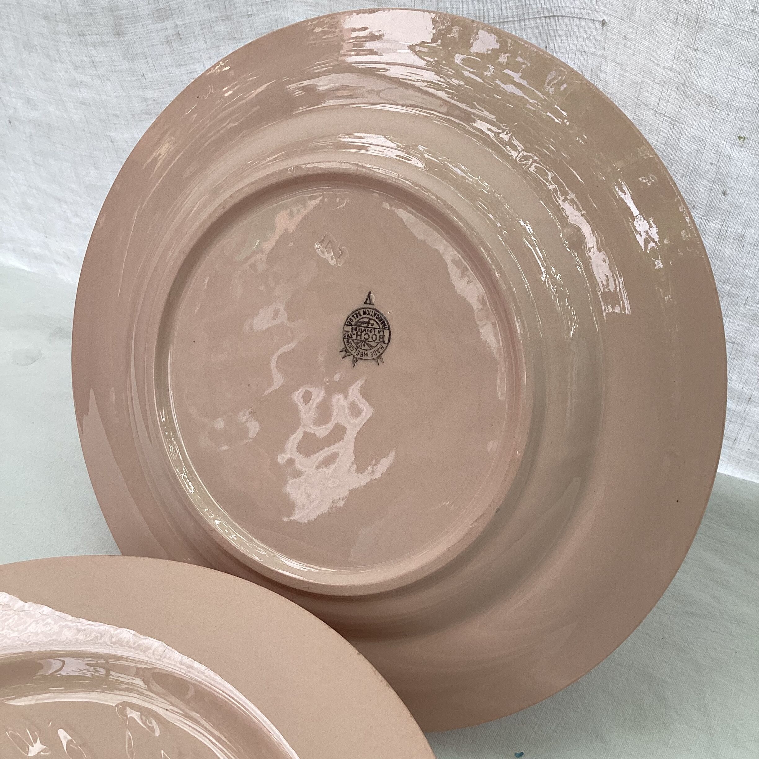Set of six plates asparagus pale pink color porcelain dimension: D-25cm-