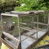 Cage double à oiseaux ancienne en bois et zinc