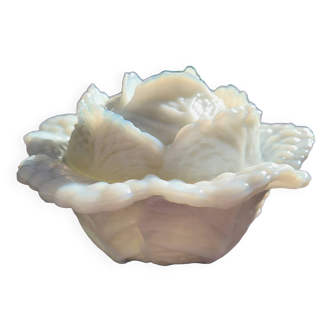 Vallerysthal/portieux opaline cabbage