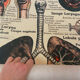 Anatomical chart of the respiratory system 1930s